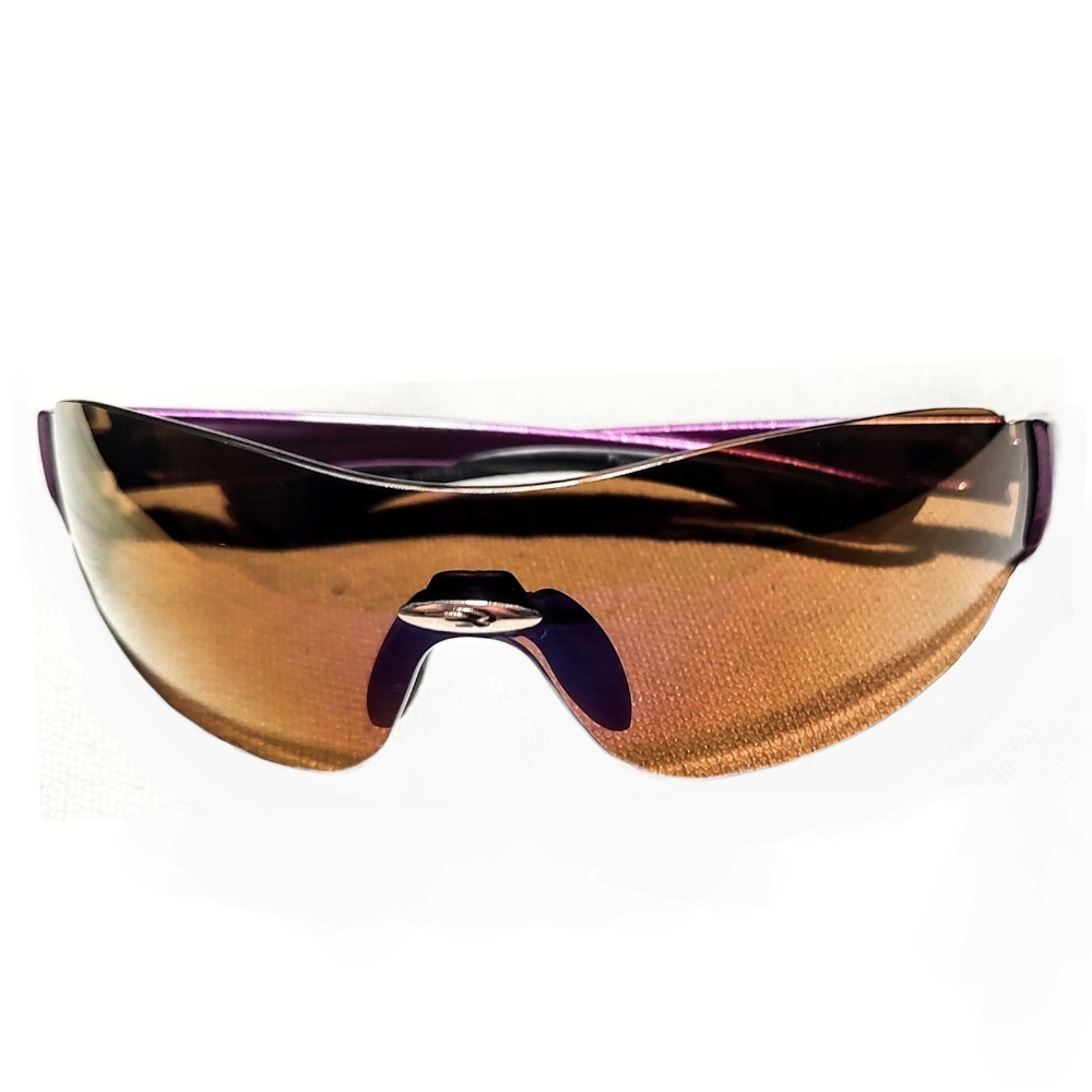 Ryders Eyewear Polarized Flange R4983 Purple Sunglasses